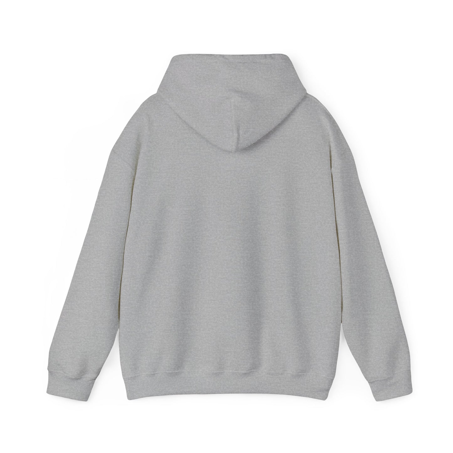 Lift Off Hooded Sweatshirt (Grey / Black)