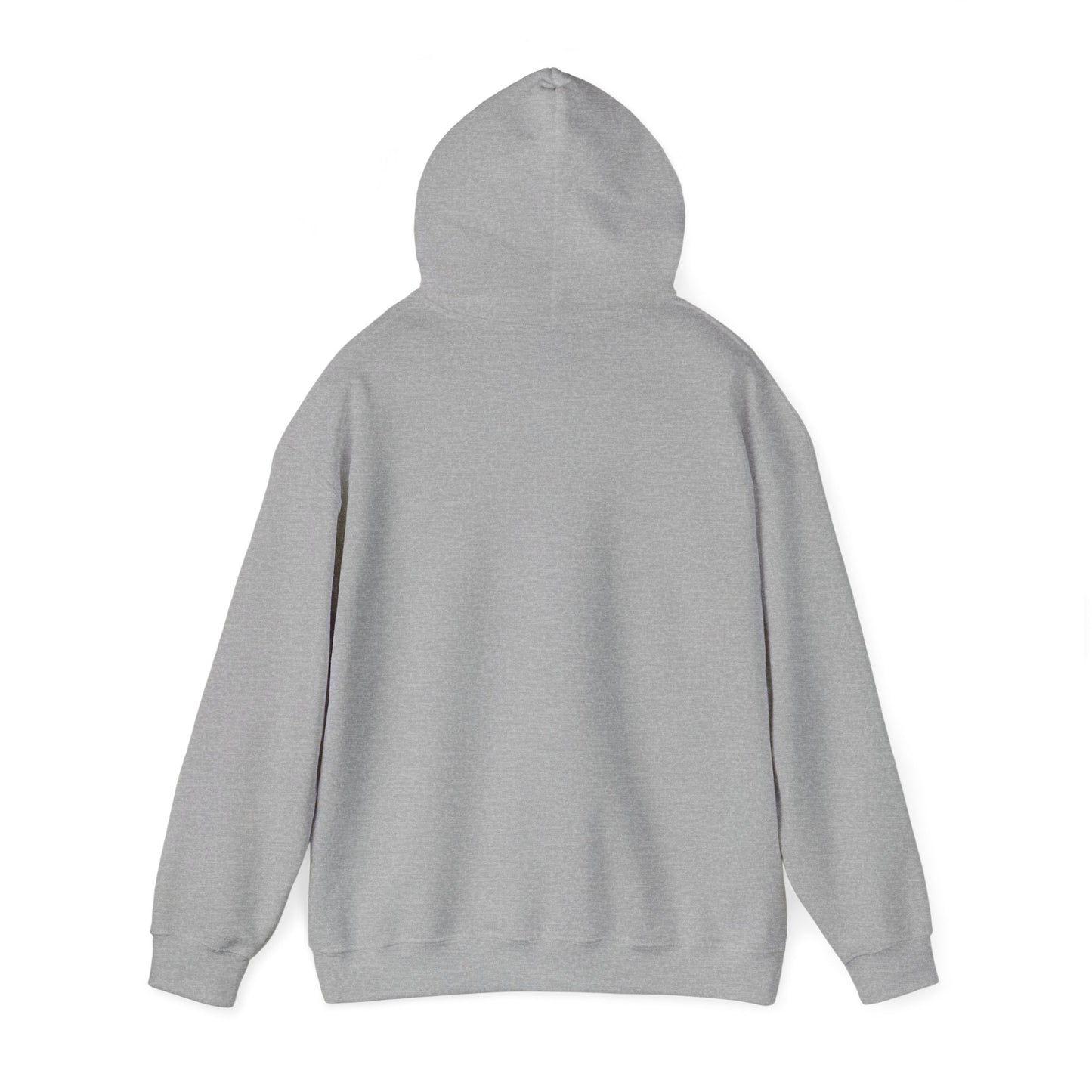 Lift Off Hooded Sweatshirt (Grey / Black)